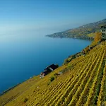 فندق إيبيس سنتر 3*