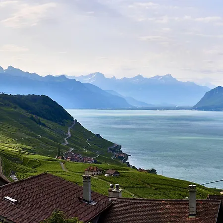 إيبيس سنتر فندق 3*