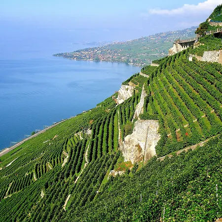 Ibis Centre Hotel 3*