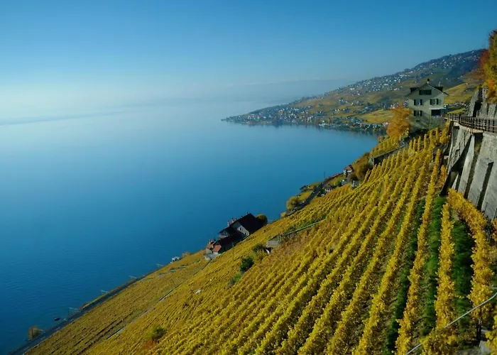 Отель Ibis Centre 3*