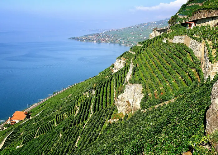 Ibis Centre Отель 3*